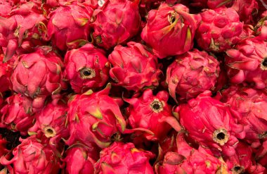 Yerel pazarda Endonezya 'da taze ejderha meyvesi veya Hylocereus undatus or buah naga, salata veya meyve suyu için sağlıklı taze meyve veya yemek tarifleri için iyi yemek seçenekleri