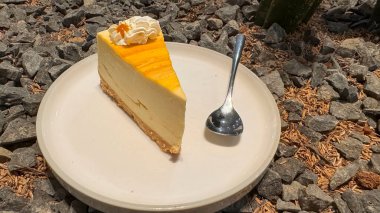 Limonlu cheesecake taze pişmiş dilim, New York usulü klasik peynirli kek tatlı tabağında. Tatlı kaşığıyla servis edilen beyaz tabakta bir dilim lezzetli pasta, yemek kitabına iyi gelir.