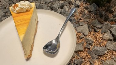 Limonlu cheesecake taze pişmiş dilim, New York usulü klasik peynirli kek tatlı tabağında. Tatlı kaşığıyla servis edilen beyaz tabakta bir dilim lezzetli pasta, yemek kitabına iyi gelir.