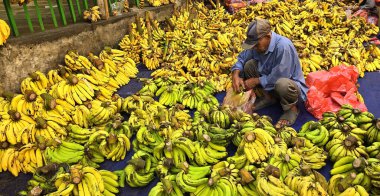 Banana selling at the wet market in Bogor city, west Java in Asia street market fruit vendor, public market situation in Asia for blog material clipart