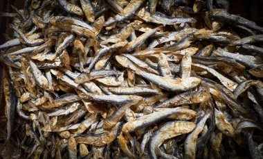 Tuzlu güneş kurutulmuş balıklar ya da yerli halk ikan asin olarak adlandırılır. Endonezya mutfağında geleneksel bir konfor gıdası olan insan tüketimi için balıkları koruma yöntemlerinden biridir.