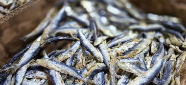 Tuzlu güneş kurutulmuş balıklar ya da yerli halk ikan asin olarak adlandırılır. Endonezya mutfağında geleneksel bir konfor gıdası olan insan tüketimi için balıkları koruma yöntemlerinden biridir.