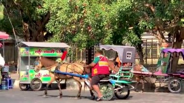 Dokar, at arabası veya yerel Endonezyalı Dokar tarafından bir at tarafından çekilen geleneksel bir ulaşım aracı ve bugünlerde turist ve aile eğlencesi olarak kullanılıyor. Geleneksel ulaşım