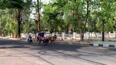 Dokar, at arabası veya yerel Endonezyalı Dokar tarafından bir at tarafından çekilen geleneksel bir ulaşım aracı ve bugünlerde turist ve aile eğlencesi olarak kullanılıyor. Geleneksel ulaşım