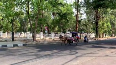 Dokar, at arabası veya yerel Endonezyalı Dokar tarafından bir at tarafından çekilen geleneksel bir ulaşım aracı ve bugünlerde turist ve aile eğlencesi olarak kullanılıyor. Geleneksel ulaşım
