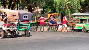 Dokar, at arabası veya yerel Endonezyalı Dokar tarafından bir at tarafından çekilen geleneksel bir ulaşım aracı ve bugünlerde turist ve aile eğlencesi olarak kullanılıyor. Geleneksel ulaşım