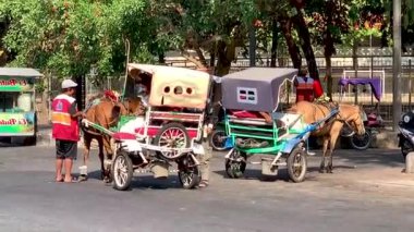 Dokar, at arabası veya yerel Endonezyalı Dokar tarafından bir at tarafından çekilen geleneksel bir ulaşım aracı ve bugünlerde turist ve aile eğlencesi olarak kullanılıyor. Geleneksel ulaşım