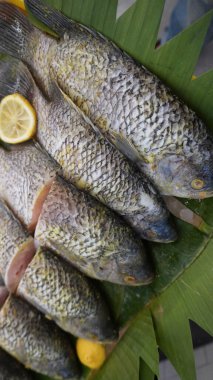 Tam porsiyon Guorami balığı süpermarkette pişirmek ya da satmak için hazırlanan bir çeşit tilapia balığı muz yapraklarıyla güzelce düzenlenir ve limonlarla süslenir, bu kurulum deniz ürünlerini, tropikal mutfağı ve taze yemek malzemelerini ön plana çıkarır..