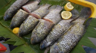 Tam porsiyon Guorami balığı süpermarkette pişirmek ya da satmak için hazırlanan bir çeşit tilapia balığı muz yapraklarıyla güzelce düzenlenir ve limonlarla süslenir, bu kurulum deniz ürünlerini, tropikal mutfağı ve taze yemek malzemelerini ön plana çıkarır..