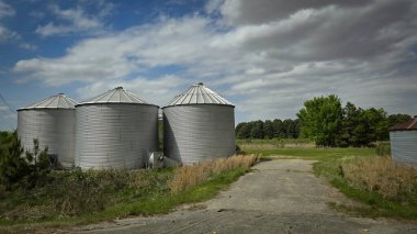 Kırsal kesimde, canlı mavi gökyüzünün altında tarım endüstrisini yansıtan büyük tahıl siloları var. Elektrik hatları ve bir çiftlik bahçesi bu güzel, çalışan çiftlik ortamına detay ekler..