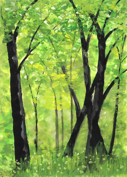 Watercolor painting nature background of forest with trees on paper. landscape. illustration for spring or autumn and tropical concept. Hand painted texture style.