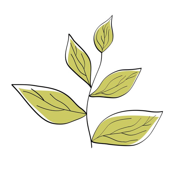 Beautiful pattern for decoration design. Beautiful pattern with green leaves on white background for decoration design. Vector.