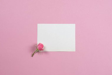 Pink rose with white sheet paper postcard on pink background mockup for greeting