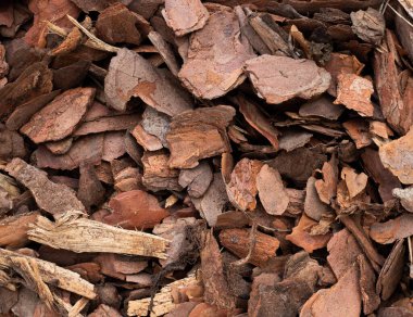 Kuru kahverengi ağaç kabuğu parçaları yakın çekim dokusu