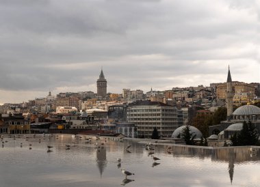 galata liman kenarı, Galata kulesi, İstanbul, Türkiye. İstanbul Modern Sanatlar Müzesi 'nin gözlem güvertesi, sudaki martılar