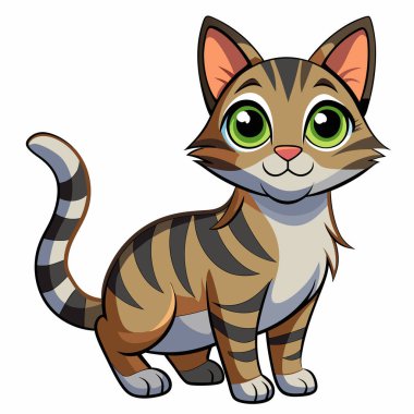 kedi- izole edilmiş beyaz arka plan