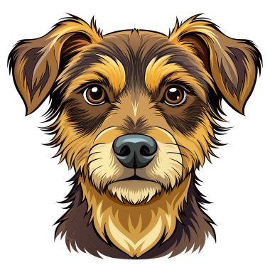 beyaz arka planda izole edilmiş köpek portresi