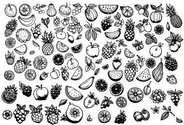 Karalama çeşitli meyve koleksiyonu özeti. Şirin tropikal meyve, böğürtlen. Soyut Sağlıklı Yemek Çizimi Siyah beyaz çizim