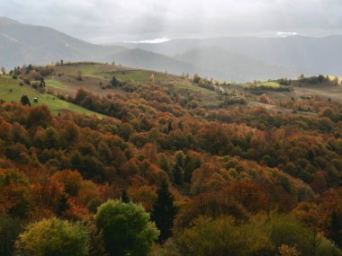 Synevyr Geçidi 'nden Karpatlar' ın manzarası