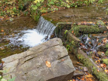 Küçük bir dağ deresindeki şelalelerden biri daha