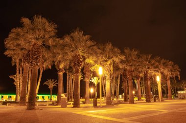 Akdeniz kıyısında geceleri Salou 'nun palmiye ağaçları