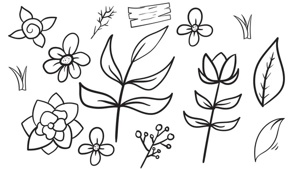 Ζωγραφισμένα Στο Χέρι Λουλούδια Και Φύλλα — Διανυσματικό Αρχείο