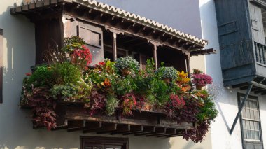 Sıcak ve büyüleyici bir açık alan.