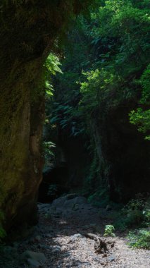 Mistik, yeşil, dingin, dokunulmamış, büyülü.