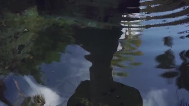 Spokojne Fale Wody Refleksyjny Spokój Harmonia Środowiska — Wideo stockowe