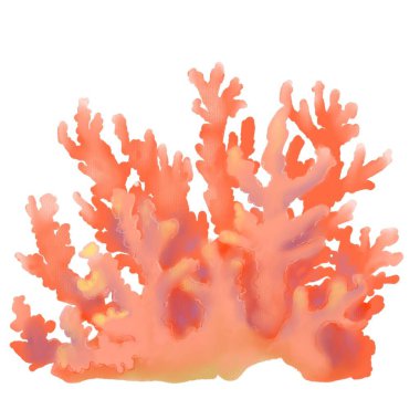 Pembe ve kırmızı ateş mercan çizimi, tropikal egzotik okyanus eli yumuşak pastel tarzında deniz altı sanatı..