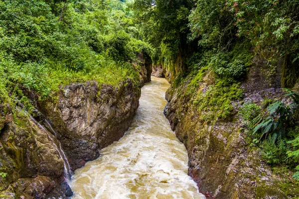 Primer Plano Río Selva Tropical Costa Rica Foto Alta Calidad — Foto de Stock