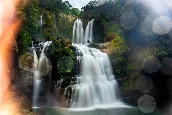 Kosta Rika Yağmur Ormanlarında Bir Şelalenin Yakınında Etkisi Yok Yüksek — Stok fotoğraf