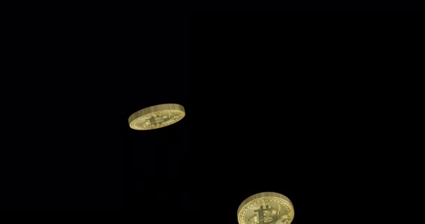 Caduta Bitcoin Bitcoin Caduta Animazione Canale Alfa — Video Stock