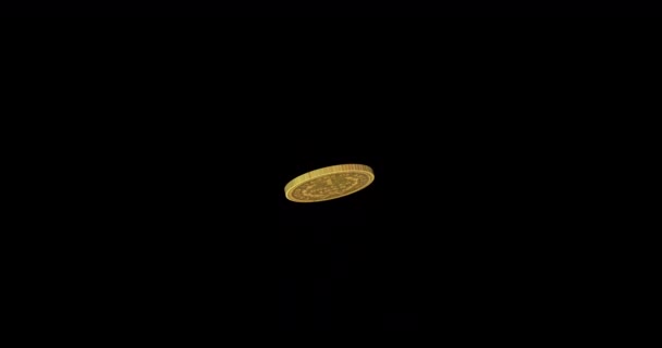 掉了一块钱的硬币阿尔法通道 — 图库视频影像