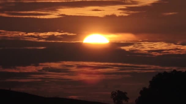 Природні Сцени Поля Захід Сонця Сільській Місцевості Брудним Грунтом — стокове відео