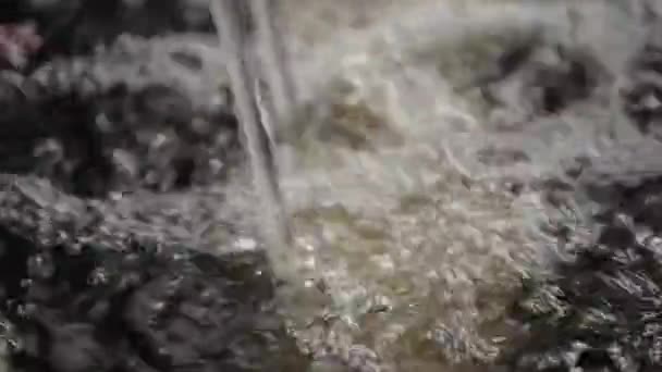 水在经过鱼塘过滤后从管子中流出 — 图库视频影像