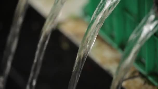 Víz Áramlik Csőből Miután Korábban Szűrték Egy Halastóban — Stock videók
