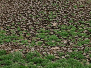 Kuru toprak toprak dokusunu çatlatmış. kuru toprak dokusu
