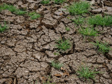 Kuru toprak toprak dokusunu çatlatmış. kuru toprak dokusu
