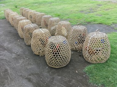 some fighting roosters in a bamboo cage clipart