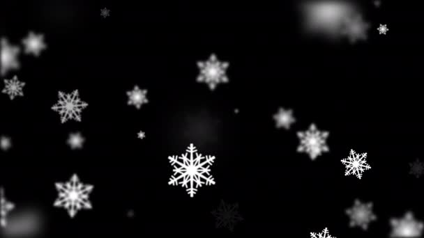 ループは 黒の背景アニメーション上の美しい黒と白の雪の結晶を落下 冬の雪 クリスマスと新年の背景のためのぼやけたボケと白い雪のアニメーション 雪の降る — ストック動画