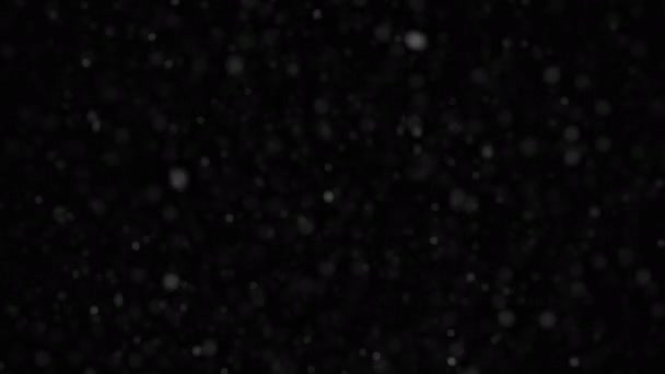 Beautiful Loop Black White Dust Particles Falling Black Background Screen — Video