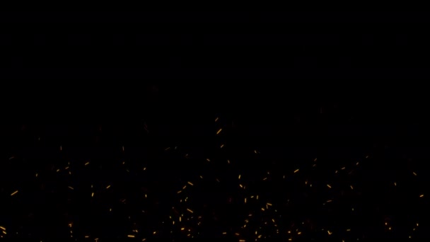Hızla Parlayan Turuncu Ateş Parçacıkları Siyah Soyut Arka Planda Yükselen — Stok video