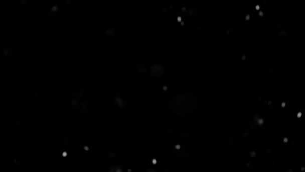 Петля Тече Вгору Частинки Білого Пилу Іскри Піднімаються Чорному Абстрактному — стокове відео