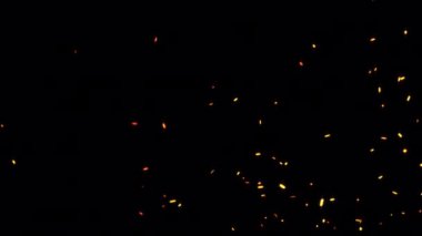 Soyut animasyon döngüsü, sıcak turuncu kıvılcımlar yakar, ateş alevleri alevlenir, parçacıklar hızla siyah arka planda yükselir. 4K 3D yanmayan parlayan parçacıklar oluşturuluyor. Alfa kanal geçişleri 444 ile izole edilmiş element.