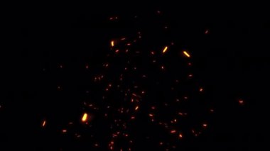 Animasyon akışı parlak turuncu ateş parçacıkları ekran projesi için siyah soyut arka planda yükselen kıvılcımlar. Hızlı zaman proress 444 kullanarak alfa kanalı ile izole edilmiş şeffaf video animasyon metni ögesi