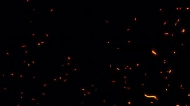 Animasyon döngüsü parlayan turuncu ateş parçacıkları ekran projesi örtüsü için siyah soyut arkaplanda yükselen kıvılcımlar oluşturuyor. Hızlı zaman dilimi 444 kullanarak izole edilmiş alfa kanalı