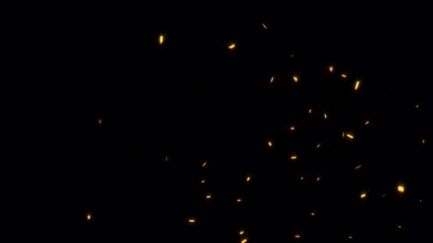 Des Étincelles Abstraites Cendres Particules Feu Incandescentes Élevant Avec Canal — Video