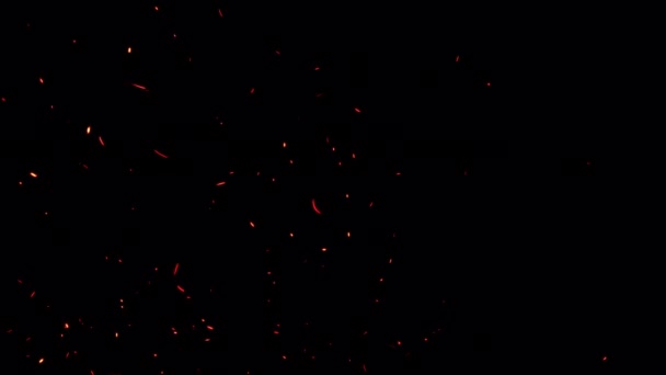 Abstrakte Nahtlose Schleifen Glühen Feuerpartikel Aschefunken Die Mit Transparentem Alphakanal — Stockvideo