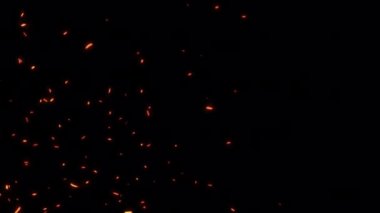 Soyut dikişsiz parlayan ateş parçacıkları, kül kıvılcımlarının şeffaf alfa kanalı ile yükselmesi projenizi örtbas etmek için kullanılabilir. 4K 3D kaotik hareket Alevli turuncu parlayan kor yanan 